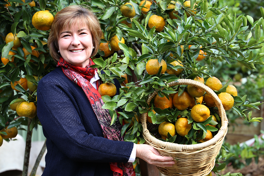 Helen Andrew started Spare Harvest to share an abundance of mandarins with people