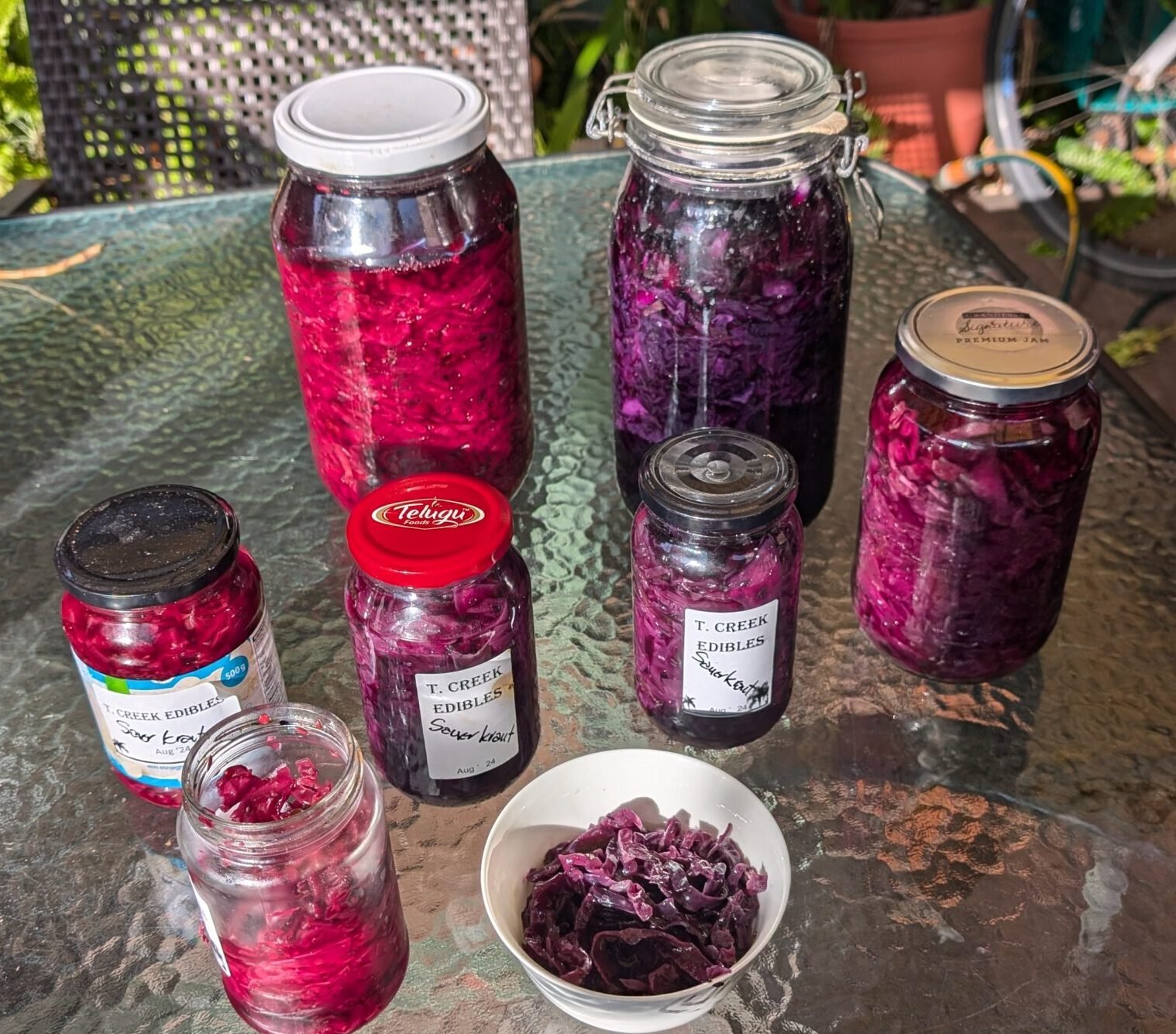 Sauerkraut made from red cabbage at various stages of ferment