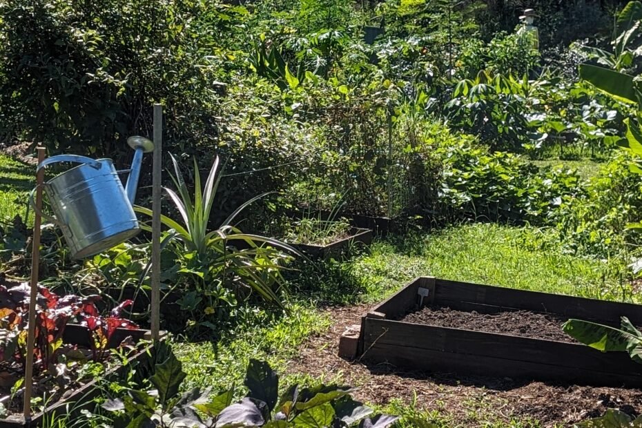 Community garden at Logan Palms