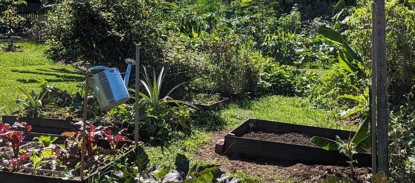 Two and a half years