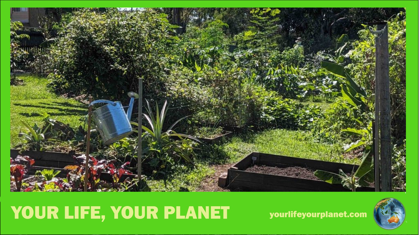 The community garden that delivers some of the findings of Your Life Your Planet