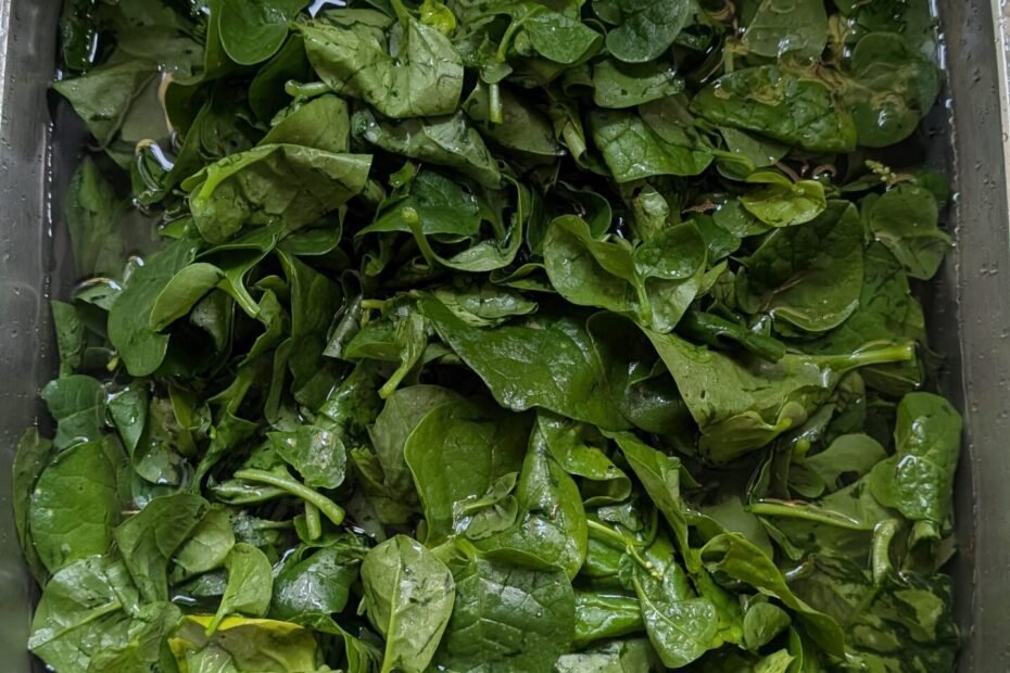 Wash in a sink with cold water, turning by hand and picking out inedible matter