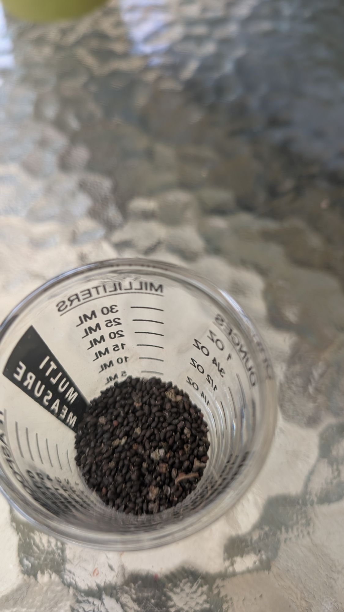 Tulsi, the holy basil.